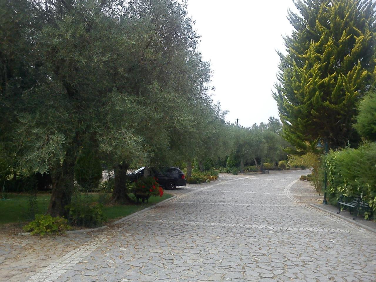 Quinta Da Telheira Otel Vila Real Dış mekan fotoğraf