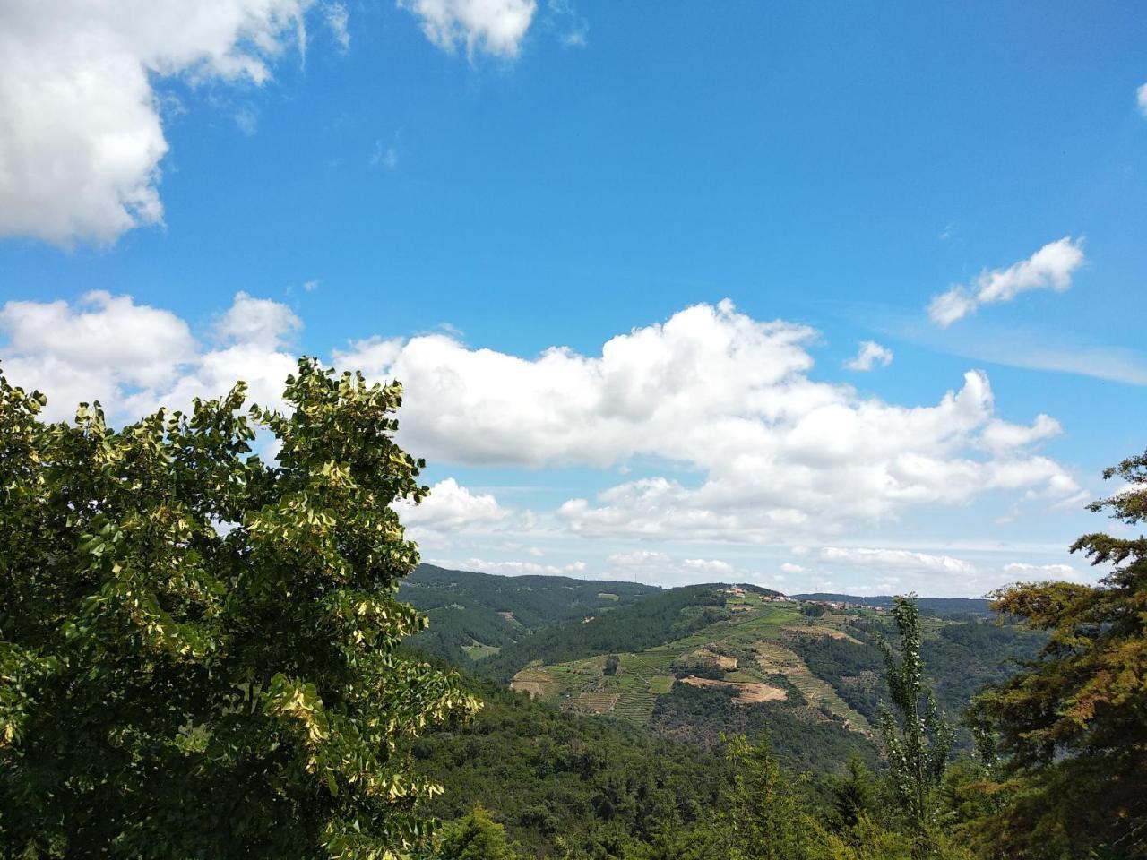 Quinta Da Telheira Otel Vila Real Dış mekan fotoğraf