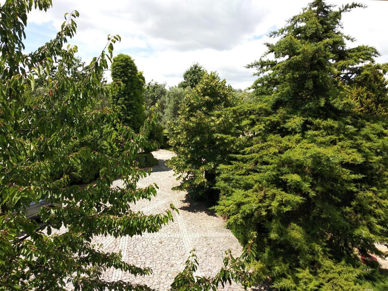 Quinta Da Telheira Otel Vila Real Dış mekan fotoğraf