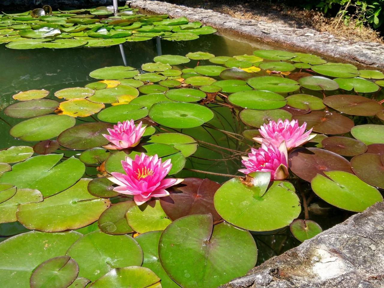 Quinta Da Telheira Otel Vila Real Dış mekan fotoğraf