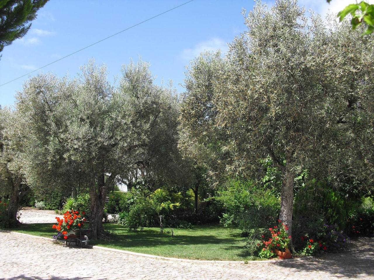 Quinta Da Telheira Otel Vila Real Dış mekan fotoğraf